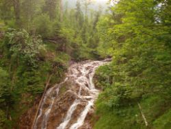 1913-07-05_Regina-F-Rau_Sonnenspitz_Kotalm-Jachenau (475).JPG